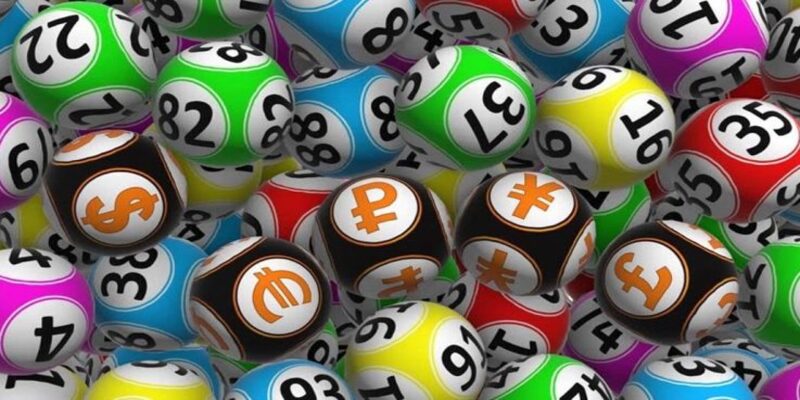 meo-bat-lo-huu-ich-cho-nguoi-choi