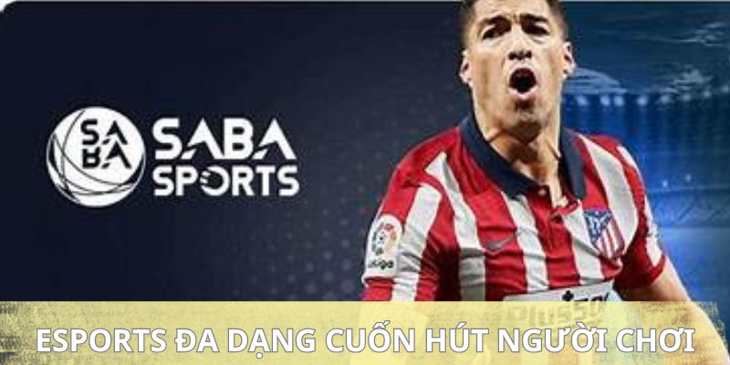 saba-sports-u888-esports-da-dang-cuon-hut-nguoi-choi